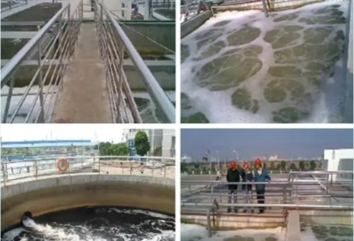 肖羽堂 以技術(shù)先鋒之姿，共繪企業(yè)環(huán)保監(jiān)測新藍(lán)圖