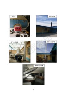 保定市潤霖果脯廠果脯加工項目竣工環(huán)境保護(hù)驗收監(jiān)測報告——專業(yè)環(huán)保咨詢服務(wù)解讀